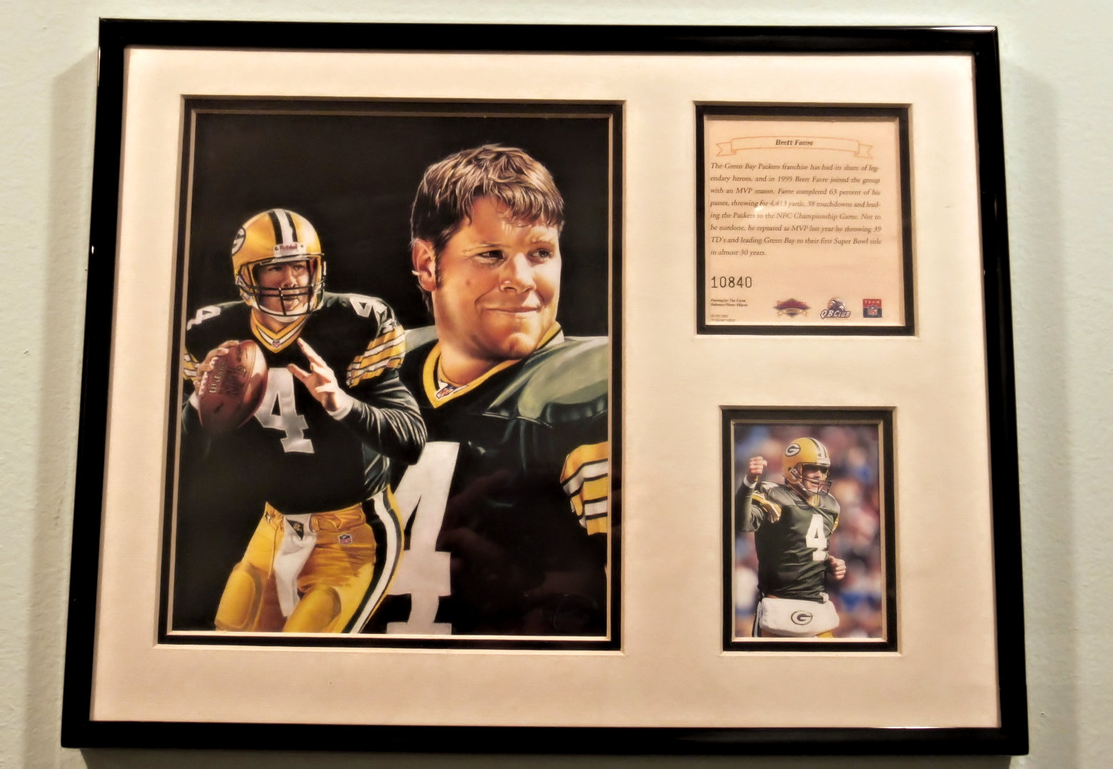 Brett Favre - NFL The Green Bay Packers Franchise