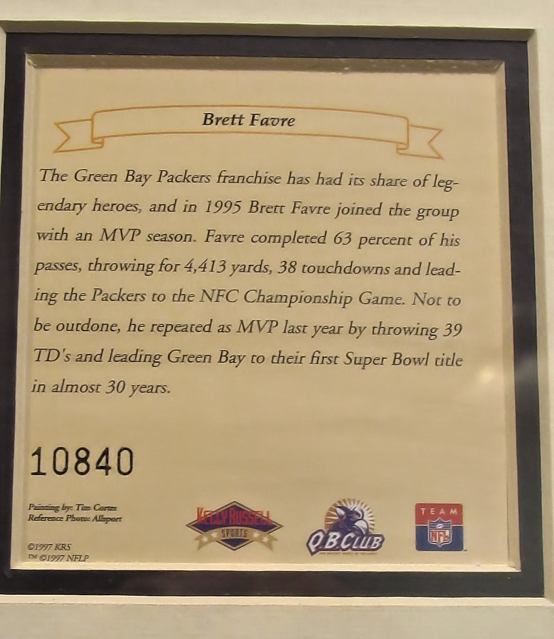 Brett Favre - NFL The Green Bay Packers Franchise