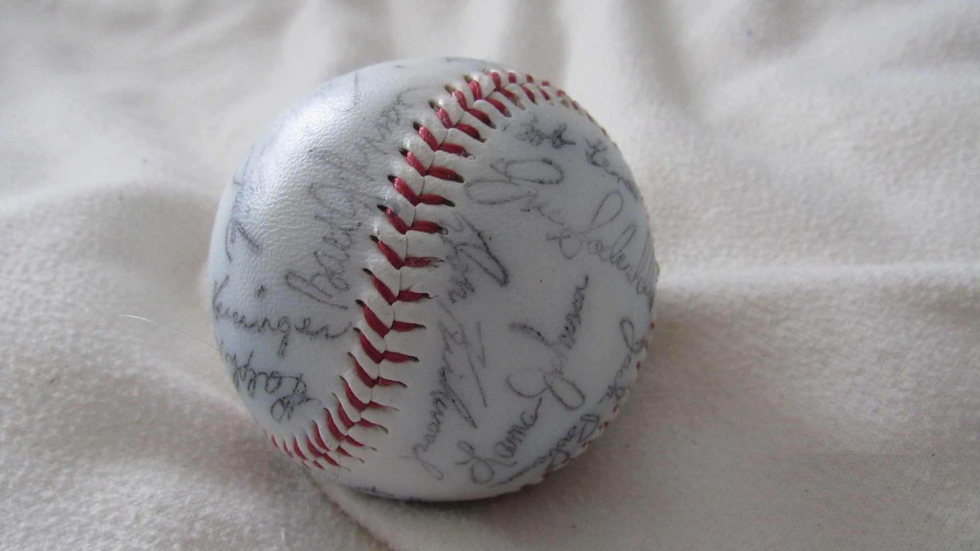 Baseball Ball with Player Signatures